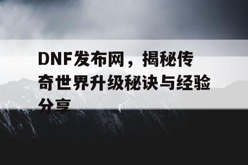 DNF发布网，揭秘传奇世界升级秘诀与经验分享