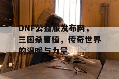 DNF公益服发布网，三国杀曹植，传奇世界的温暖与力量