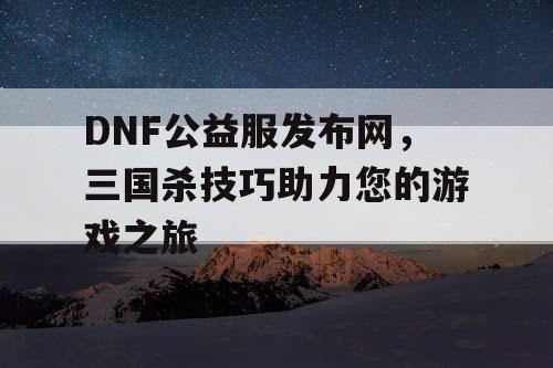 DNF公益服发布网，三国杀技巧助力您的游戏之旅