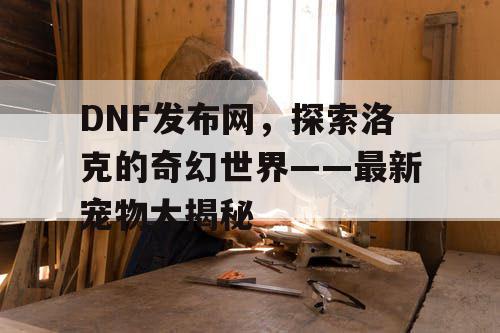 DNF发布网，探索洛克的奇幻世界——最新宠物大揭秘