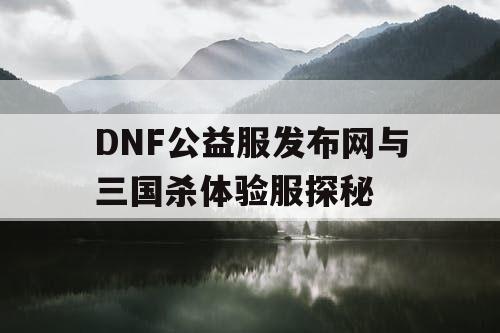 DNF公益服发布网与三国杀体验服探秘